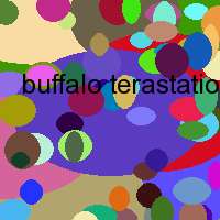 buffalo terastation terabyte network